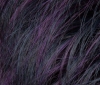 BLACK VIOLET